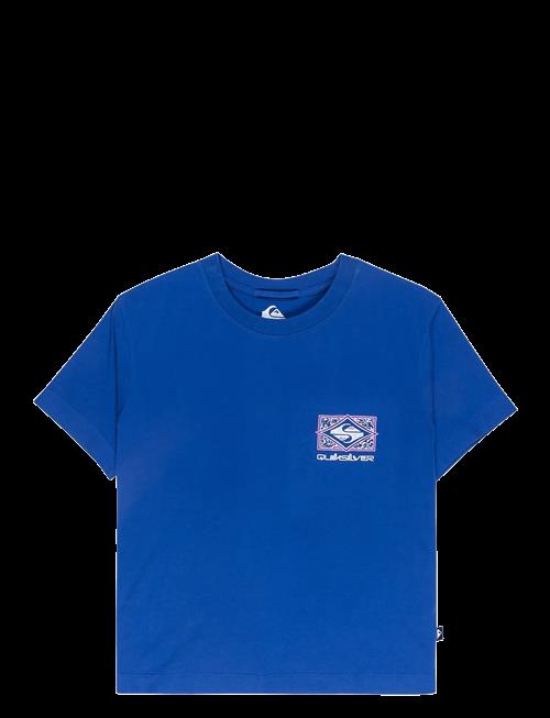 Quiksilver | Standard Ss Tee | S