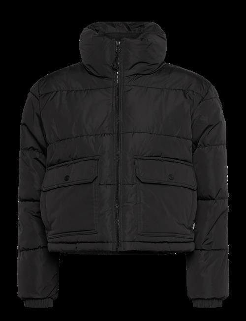 VANS | Mte Aubrey Primaloft Puffer | XXL
