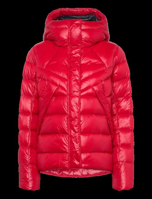 Helly Hansen | W Winter Bliss Down Jacket | L