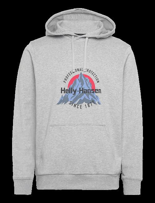 Helly Hansen | Core Graphic Hoodie | L