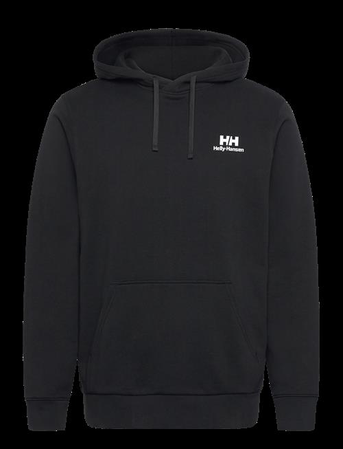Helly Hansen | Core Graphic Hoodie | S