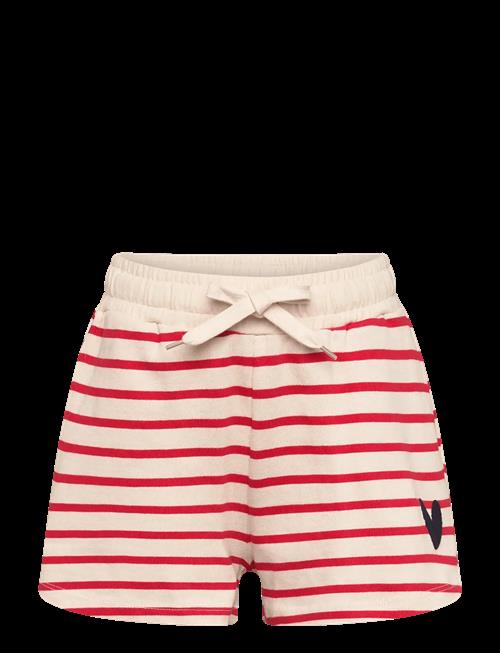 The New | Tnnil Shorts | 134/140