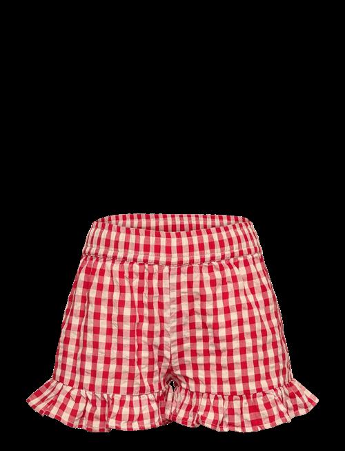 The New | Tnnally Shorts | 158/164
