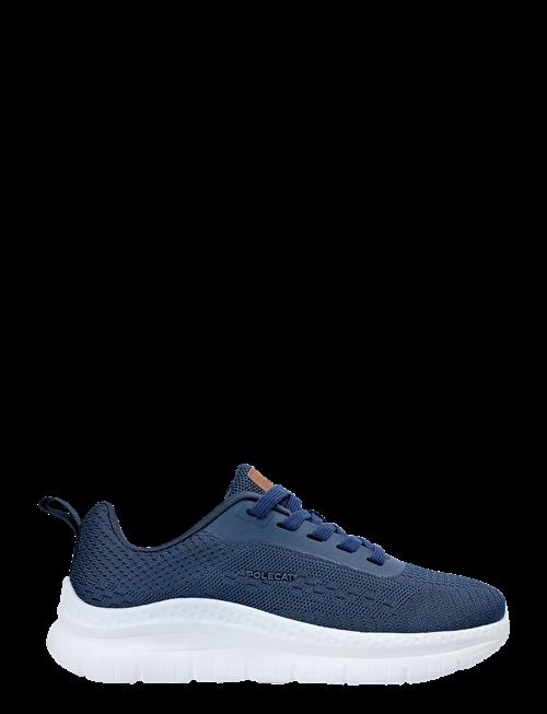Polecat | Arcus California | 37-24.5