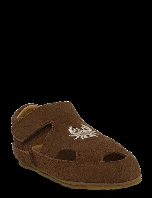 Wheat | Indoor Sandal Pax | 20