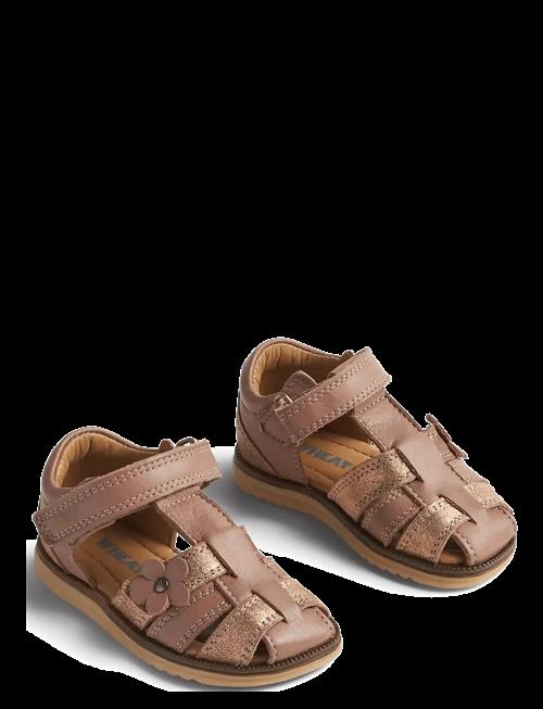 Wheat | Sandal Sky Flower | 21