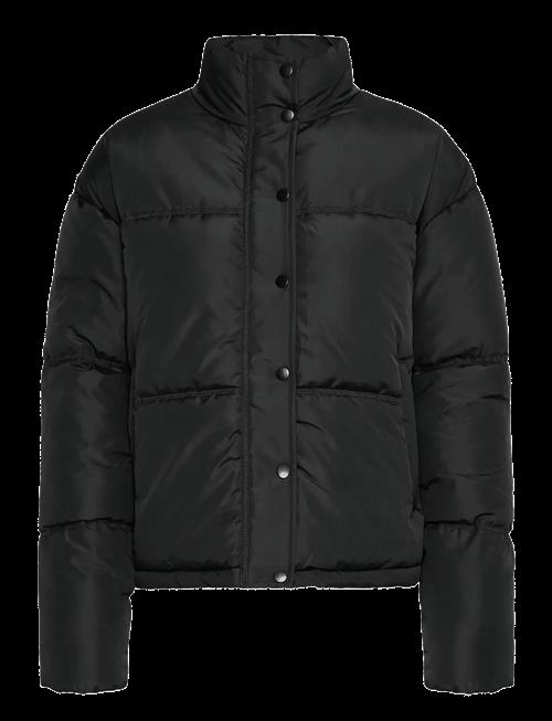 Fransa | Frebba Ja 1 | XXL