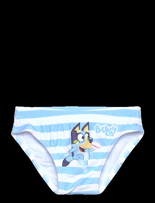 Bluey | Swimsuit | 104
