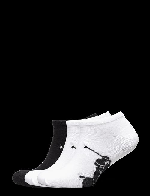 Polo Ralph Lauren | Big Pony Sock 3-Pack | ONE SIZE