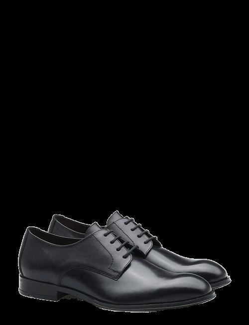 Lloyd | Core Plus 110 | 44.5