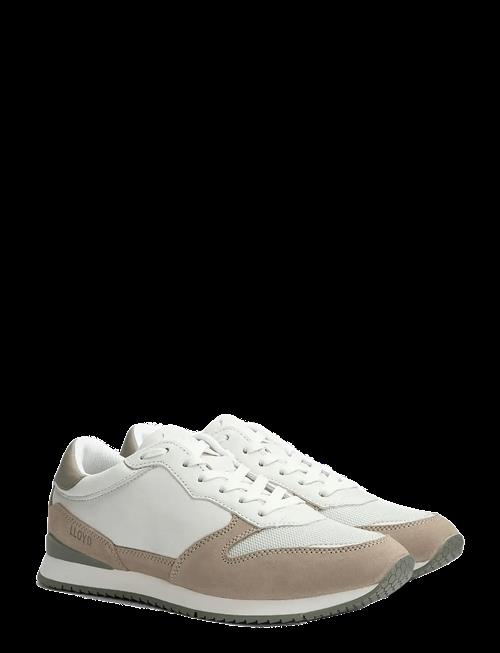 Lloyd | Swift | 42.5