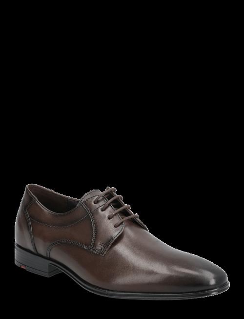 Lloyd | Core 111 | 39