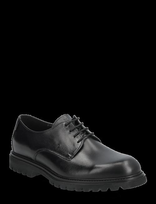 Lloyd | Select 117G | 40.5