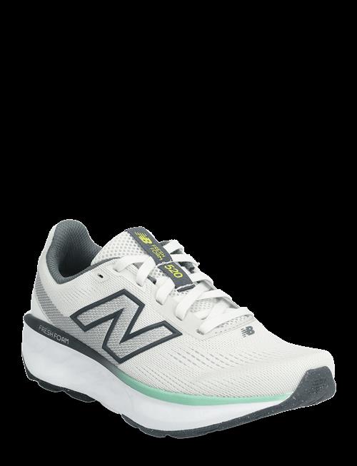 New Balance | New Balance Freshfoam 520 V9 | 35