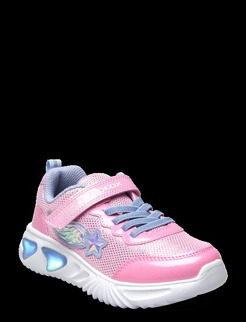 GEOX | J Assister Girl B | 30