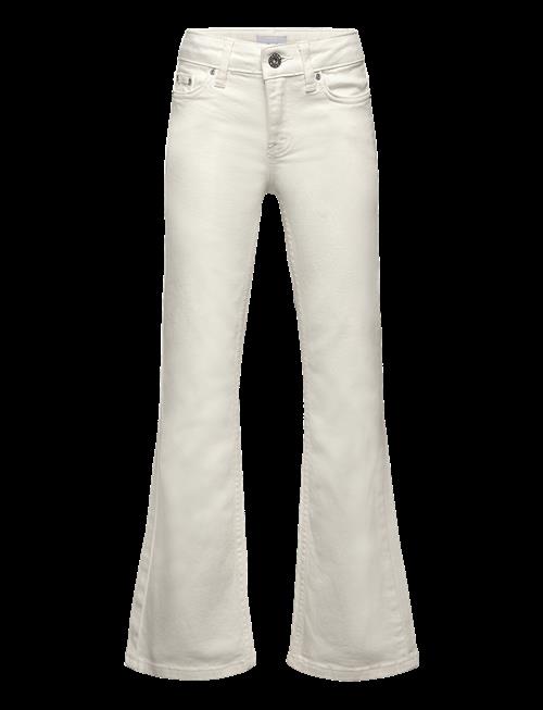 Grunt | Texas Broken White Bottoms | 176