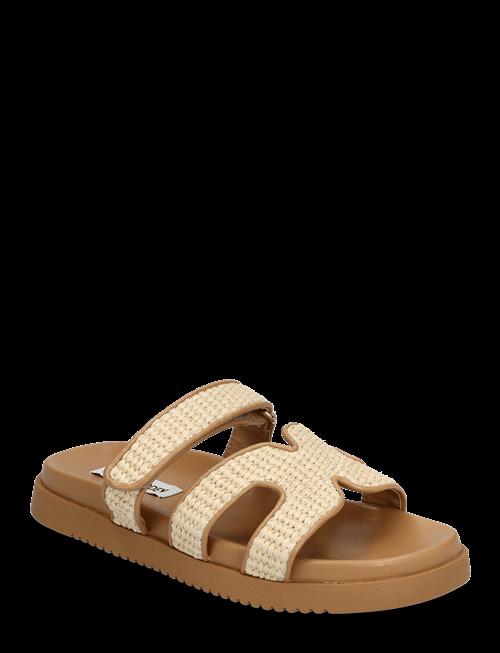 Steve Madden | Missile | 40