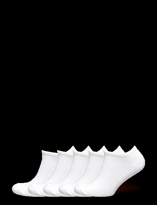ZEBDIA | 5-Pk Tennis Footies | 39-42