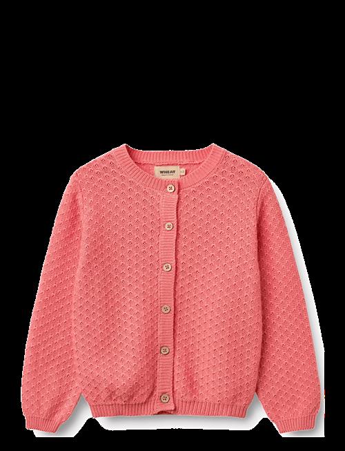 Wheat | Knit Cardigan Magnella | 122