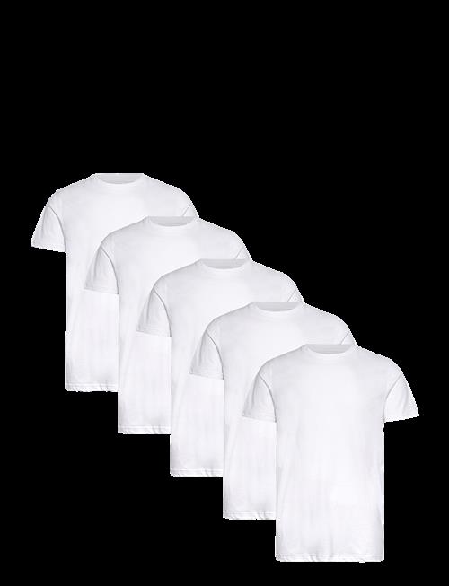 Claudio | Claudio 5-Pack T-Shirt Cotton | L