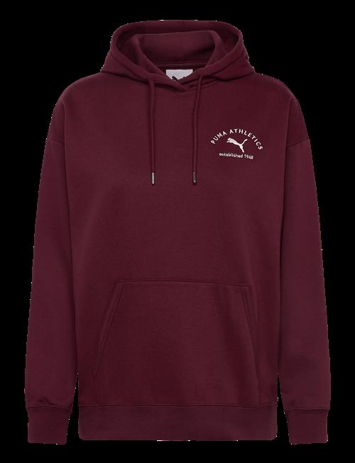 PUMA | Puma Class Relaxed Hoodie Fl | S