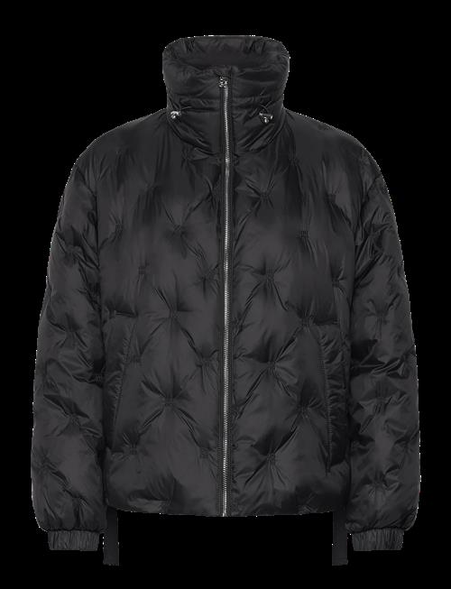 HUGO | Feneve-1 | L