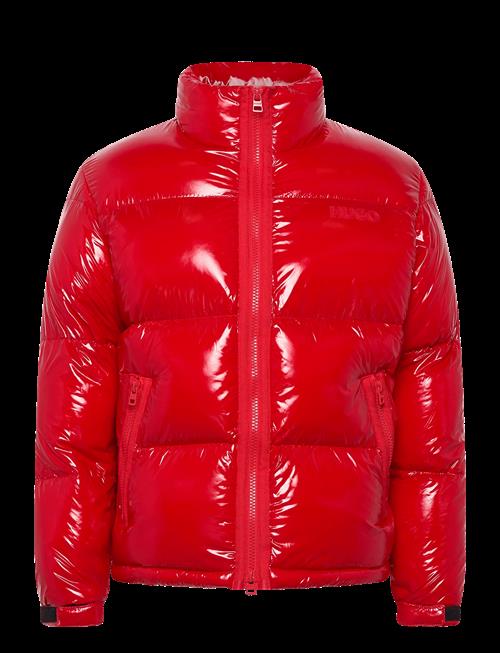 HUGO | Biron2541 | S
