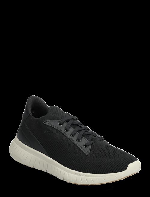 BOSS | Titanis_Slon_Knwal | 40