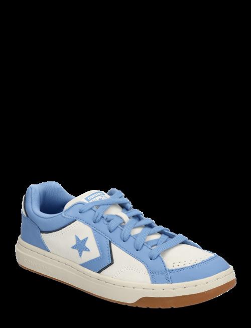 Converse | Pro Blaze Classic Ox Egret/Open Sky | 35.5