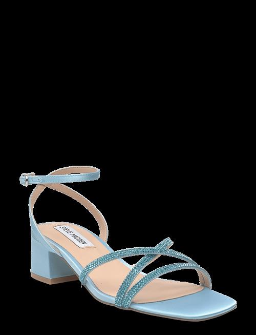 Steve Madden | Gabby | 37