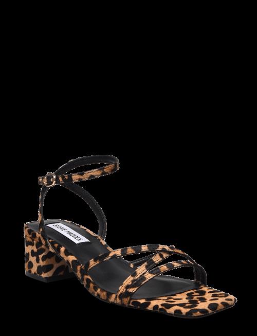 Steve Madden | Gabby-L Sandal | 36