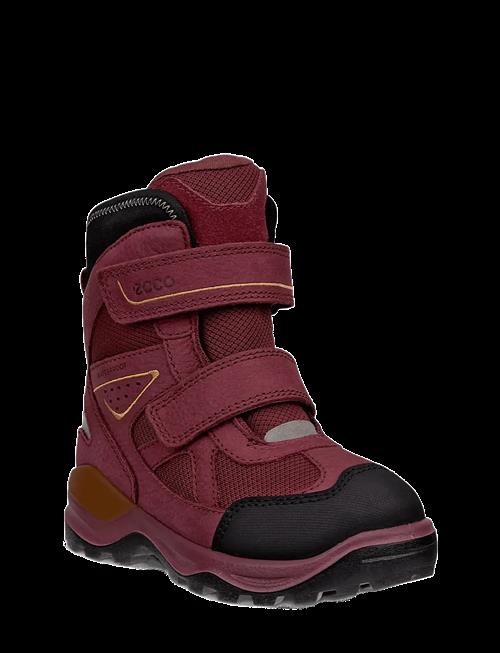 ECCO | Snow Mountain | 29
