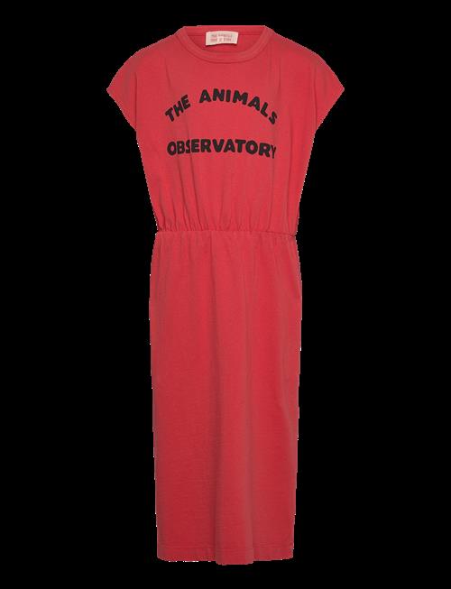 THE ANIMALS OBSERVATORY | Orca Kid Midi Dress Red | 4 Y