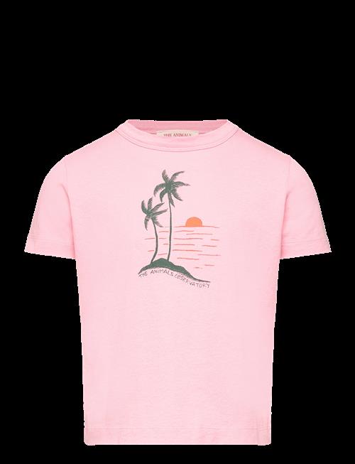 THE ANIMALS OBSERVATORY | Big Rooster Kid T-Shirt Pink 2Y | 3 Y
