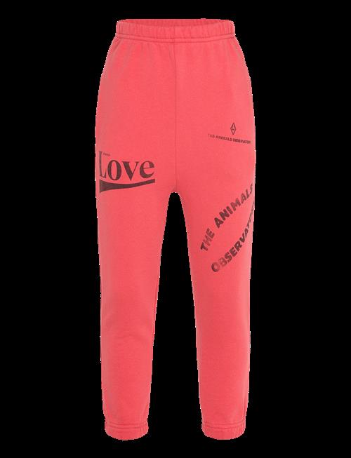 THE ANIMALS OBSERVATORY | Dromedary Kid Sweatpants Red | 10 Y