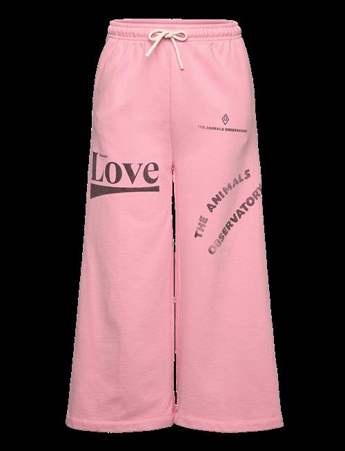 THE ANIMALS OBSERVATORY | Platypus Kid Sweatpants Pink | 12 Y