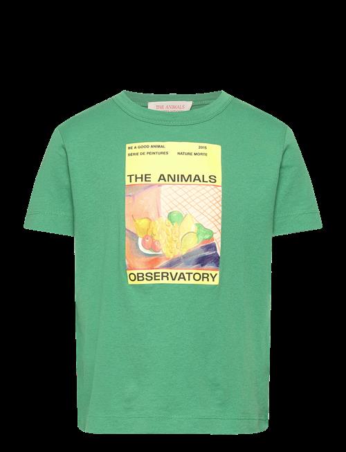 THE ANIMALS OBSERVATORY | Big Rooster Kid T-Shirt Green 10Y | 10 Y