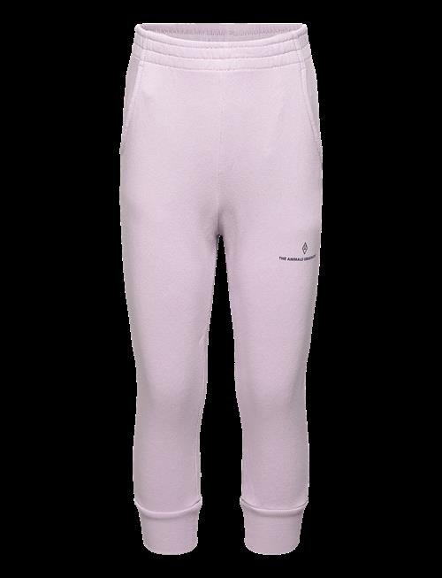 THE ANIMALS OBSERVATORY | Draco Kid Sweatpants Lavand | 12 Y