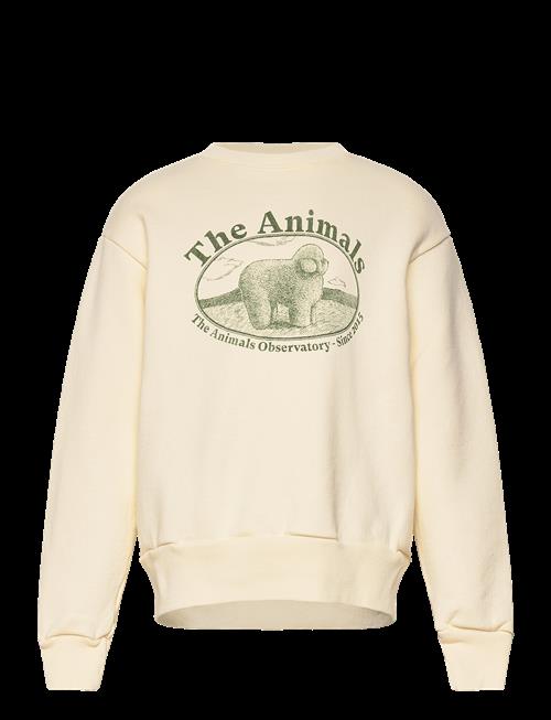 THE ANIMALS OBSERVATORY | Bear Kid Sweatshirt White Logo | 4 Y