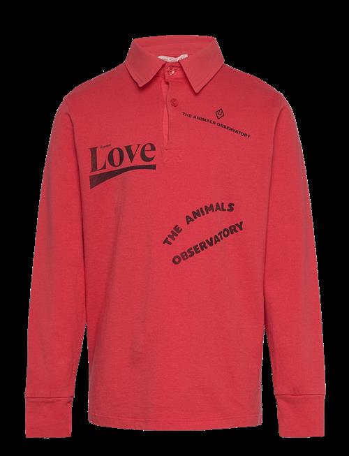 THE ANIMALS OBSERVATORY | Eel Kid Polo Shirt Red | 6 Y