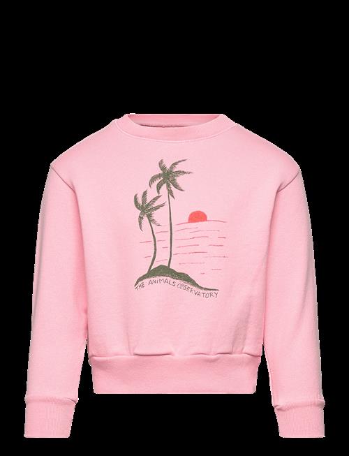 THE ANIMALS OBSERVATORY | Bear Kid Sweatshirt Pink | 2 Y
