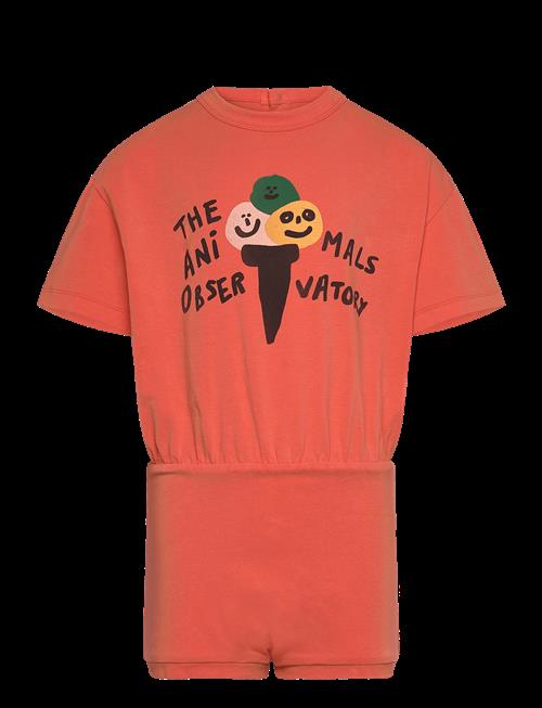 THE ANIMALS OBSERVATORY | Koala Kid Body Salmon | 6 Y