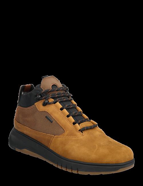 GEOX | U Aerantis 4X4 B Abx | 40