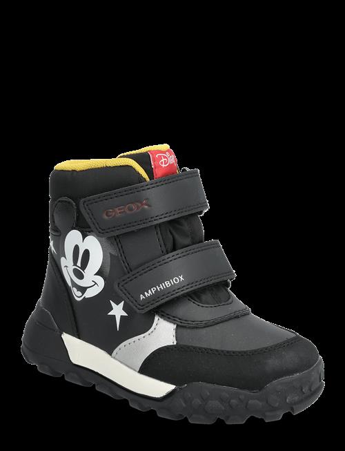 GEOX | B Trekkyup Boy B Abx | 26