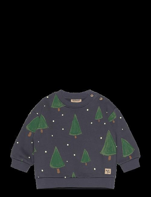 Wheat | Sweatshirt L/S Sandro | 92