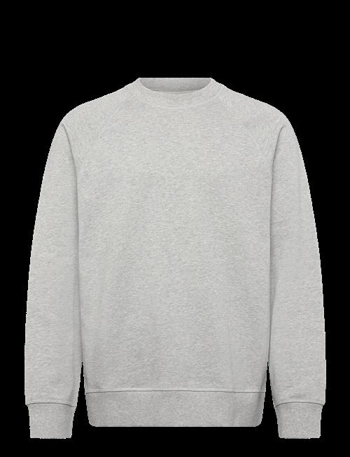 WOOD WOOD | Wwhester Sweatshirt 25217 | S