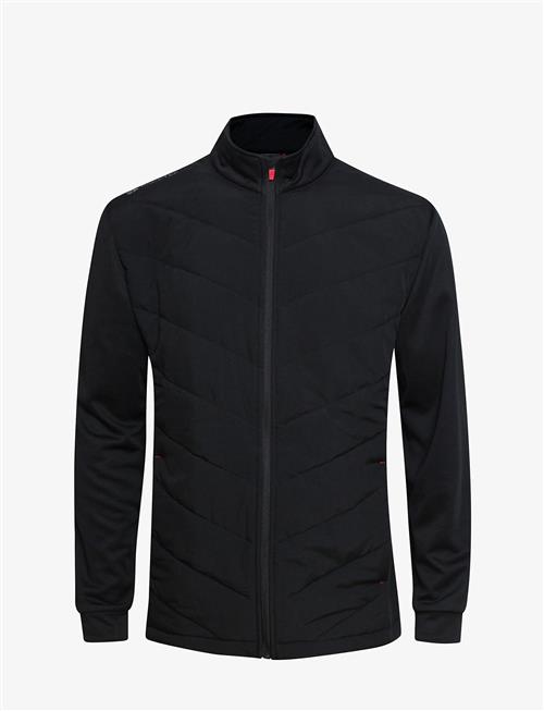 BACKTEE | Mens Hybrid Jacket | L