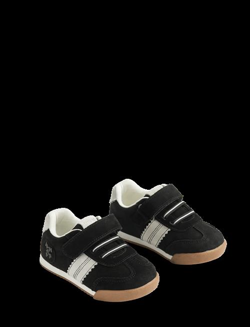 Wheat | Sneaker Spectra | 24