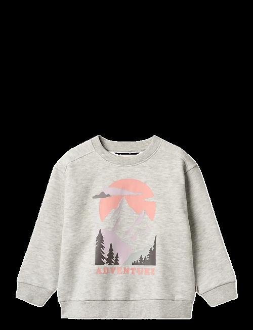 Wheat | Sweatshirt L/S Ellis | 104