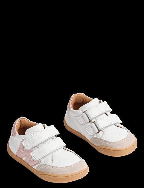 Wheat | Sneaker Barres | 30
